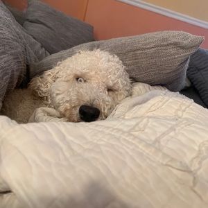 Meet your Posher, Tim